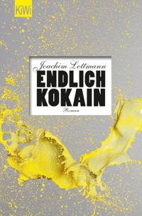 Endlich Kokain - Joachim Lottmann - E-Book