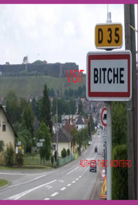 Visit Bitche! - Theobaldo Veira Monteiro - E-Book