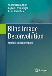 Blind Image Deconvolution - Subhasis Chaudhuri - E-Book