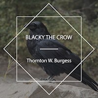 Blacky the Crow - Thornton W. Burgess - Hörbuch