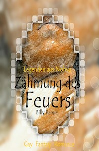 Zähmung des Feuers - Billy Remie - E-Book