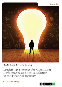 Leadership Practices for Optimizing Performance and Job Satisfaction in the Financial Industry - Richard Young - E-Book