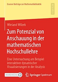 Zum Potenzial von Anschauung in der mathematischen Hochschullehre - Wieland Wilzek - E-Book