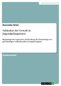 Subkultur der Gewalt in Jugendgefängnissen - Henriette Ortel - E-Book