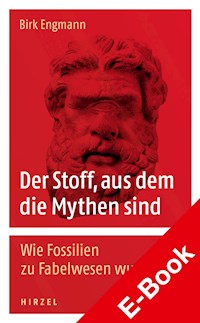 Der Stoff, aus dem die Mythen sind - Birk Engmann - E-Book