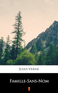 Famille-Sans-Nom - Jules Verne - E-Book
