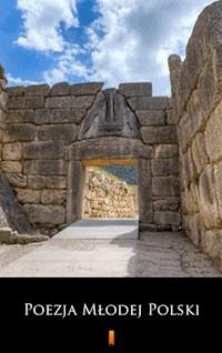 Poezja Młodej Polski - Group publication - E-Book