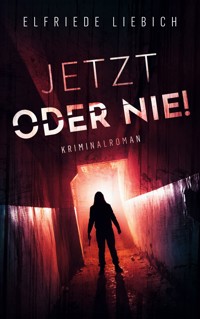 Jetzt oder nie! - Elfriede Liebich - E-Book