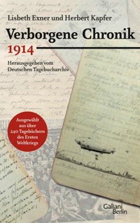 Verborgene Chronik 1914 - Herbert Kapfer - E-Book