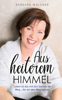 Aus heiterem Himmel - Leben ist das mit den Steinen im Weg - Barbara Waldner - E-Book