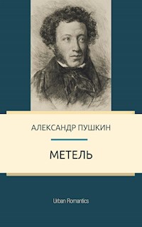 Метель - Александр Пушкин - E-Book