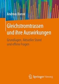 Gleichstromtrassen und ihre Auswirkungen - Andreas Bonné - E-Book