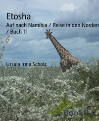 Etosha - Ursula Irma Scholz - E-Book