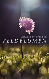 Feldblumen - Adalbert  Stifter - E-Book