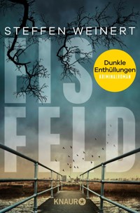 Eisfeld – Dunkle Enthüllungen - Steffen Weinert - E-Book