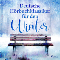 7 deutsche Klassiker für den Winter - Theodor Storm - Hörbuch
