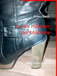 In den Händen der Mistress - Brisko Bach - E-Book