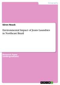 Environmental Impact of Jeans Laundries in Northeast Brazil - Sören Noack - E-Book