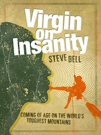 Virgin on Insanity - Steve Bell - E-Book