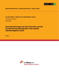 Herausforderungen bei der Kontrolle und der Incentivierung ökologischer und sozialer (Nachhaltigkeits-)Ziele - Marius Beckermann - E-Book