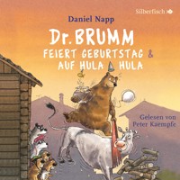 Dr. Brumm feiert Geburtstag / Dr. Brumm auf Hula Hula  (Dr. Brumm) - Daniel Napp - Hörbuch