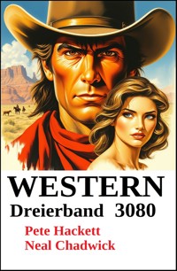 Western Dreierband 3080 - Neal Chadwick - E-Book