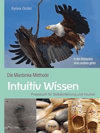 Intuitiv Wissen - Sylvia Grübl - E-Book