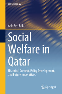 Social Welfare in Qatar - Anis Ben Brik - E-Book