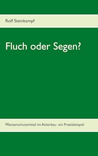 Fluch oder Segen? - Rolf Steinkampf - E-Book