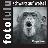 fotolulu schwarz auf weiss I - fotolulu - E-Book