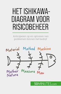 Het Ishikawa-diagram voor risicobeheer - Ariane de Saeger - E-Book