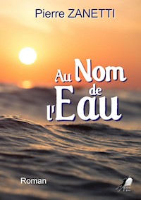 Au nom de l'eau - Pierre Zanetti - E-Book