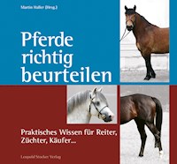 Pferde richtig beurteilen - Martin Haller - E-Book