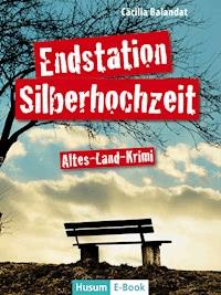 Endstation Silberhochzeit - Cäcilia Balandat - E-Book
