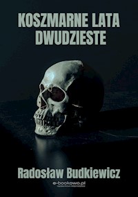 Koszmarne lata dwudzieste - Radosław Budkiewicz - E-Book