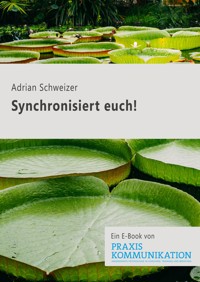 "Synchronisiert euch!" - Adrian Schweizer - E-Book