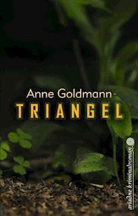 Triangel - Anne Goldmann - E-Book