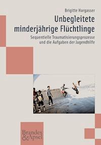 Unbegleitete minderjährige Flüchtlinge - Brigitte Hargasser - E-Book