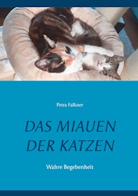 Das Miauen der Katzen - Petra Falkner - E-Book