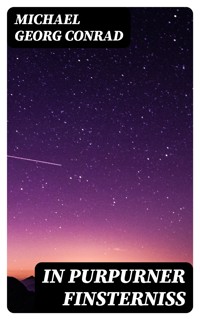 In Purpurner Finsterniß - Michael Georg Conrad - E-Book