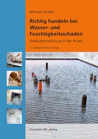 Richtig handeln bei Wasser- und Feuchtigkeitsschäden. - Michael Grübel - E-Book