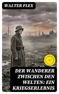 Der Wanderer zwischen den Welten: Ein Kriegserlebnis - Walter Flex - E-Book