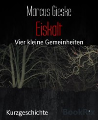 Eiskalt - Marcus Gieske - E-Book