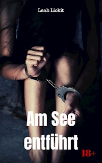 Am See entführt - Leah Lickit - E-Book