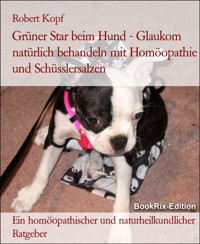 Grüner Star beim Hund - Glaukom natürlich behandeln mit Homöopathie und Schüsslersalzen - Robert Kopf - E-Book