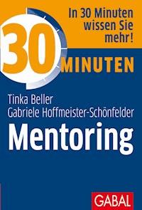 30 Minuten Mentoring - Tinka Beller - E-Book