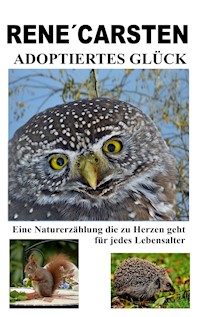 Adoptiertes Glück - René Carsten - E-Book