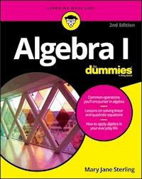 Algebra I For Dummies - Mary Jane Sterling - E-Book