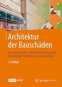 Architektur der Bauschäden - Joachim Schulz - E-Book