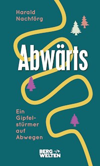 Abwärts. Ein Gipfelstürmer auf Abwegen - Harald Nachförg - E-Book